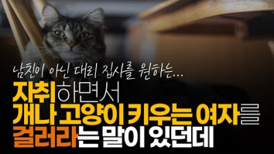 (※시청자질문) 자취하면서 개나 고양이 키우는 여자를 걸러라는 말이 있던데 왜 일까요? 배보다 배꼽이 더 듭니다, 귀담아 들으세요.