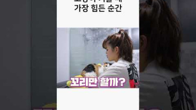 고양이 키울 때 가장 힘든 순간