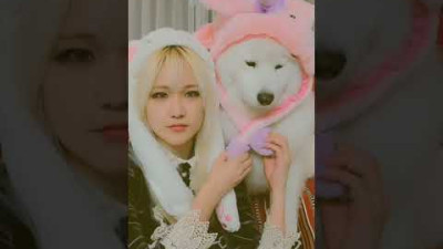 대형견 볼을 갑자기 물어 뜯는다면...?