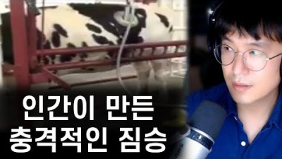 ECO COW - 인간이 개조한, 먹지도 싸지도 못하는 충격적인 짐승의 모습.