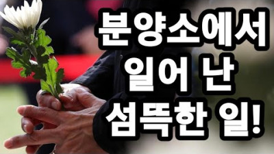 실패한 이재명을 위한 작품!토끼머리띠 반드시 잡아라!(22.10.31)
