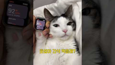 내 심장은 너에게만 뛰어