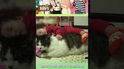 😸고양이가 너무 좋은 아기🧡 (ft. 세상 순한 냥이)