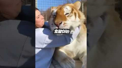 야생최강캐