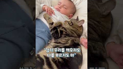 아기와 고양이는 사랑입니다