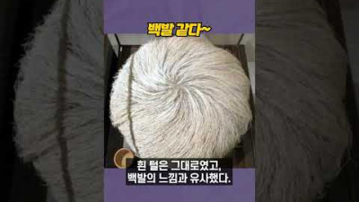 머리카락이 자라는 돌의 정체는 무엇일까