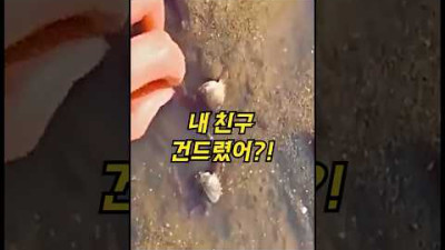 게 친구를 건드리자…