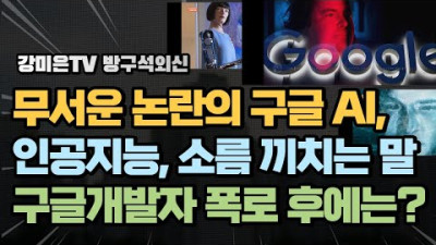 구글AI, 그 후 무서운 논란 [강미은TV 방구석외신]