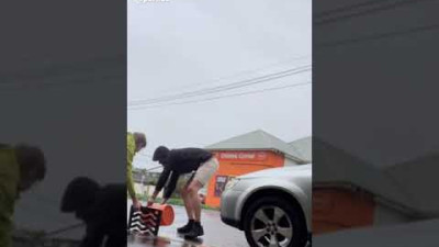뉴질랜드의 한 차로변에 어미 오리가 서성이고 있었던 이유...