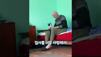 세상에서 제일 긴 야옹소리 & 개와 고양이의 90도 사랑 & 꿀 떨어지는 냥이 눈빛 #shorts