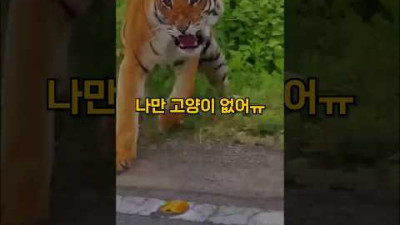 6번째 집사가 될뻔한 남자#shorts