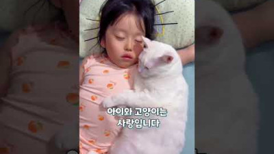 [아토피 면역력] 아이와 고양이는 사랑입니다