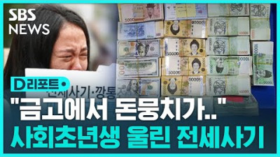 사회초년생 대상 전세사기 일당 검거…금고에선 돈뭉치 / SBS / #D리포트