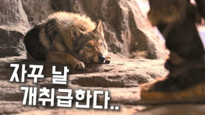 20,000년전 한 전사가 늑대를 길들이게 되면 벌어지는일 [영화리뷰/결말포함]