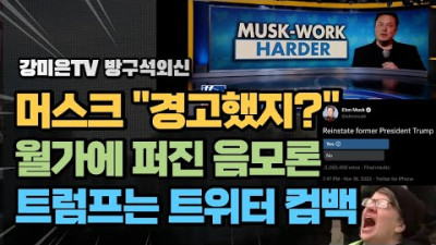머스크: 내가 이미 경고했지? / 트럼프는 트위터 컴백, 20분만에 100만 팔로워 [강미은TV 방구석외신]