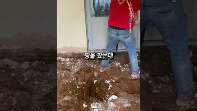 집 안에 노다지 ㄷㄷ