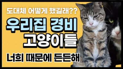우리집 경비~오만이와 팔만이