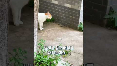 어머니의 사랑은 위대하다
