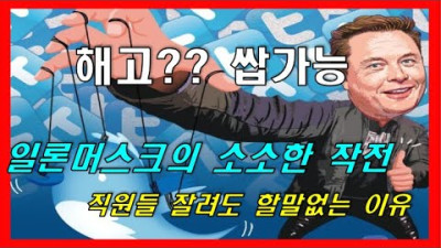 소소한 작전 . 일론 . 트럼프