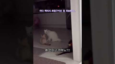 한밤 중에 발생한 산타의 막내 교육