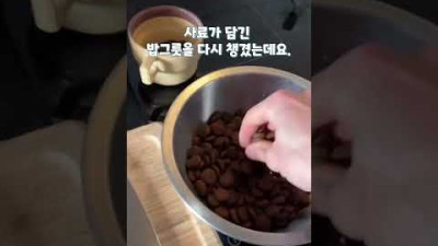 밥 먹기 싫어하는 강아지들의 집사가 보면 도움되는 영상 (+꿀팁) #shorts