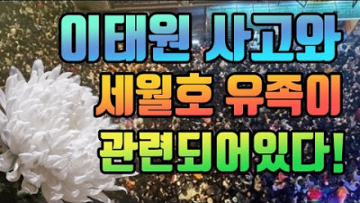 이태원사고 세월호유족 관련되어있다! [팩트체크]