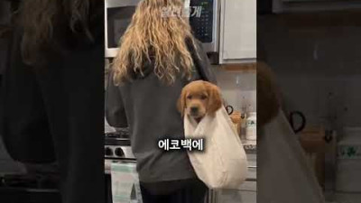 장난꾸러기를 제압하는 방법