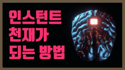 단숨에 천재가 되는 방법 (상위 0.1%의 인생 치트키)