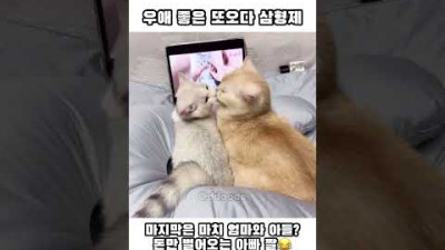 다복이가 업어 키운 또복