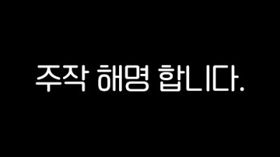 길 가다 주운 포메, 주작 해명합니다.