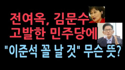 전여옥 이준석, 가세연 고소했다가 무고죄로 기소위기, 민주당도 김문수에게 당한다