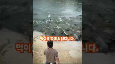 악어는 다른것을 먹는데 관심이 있었습니다.