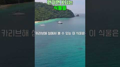 만지면 X되는 식물들
