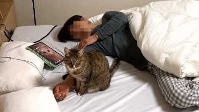 고양이 집사라면 공감하는 영상(집사 잠들때)