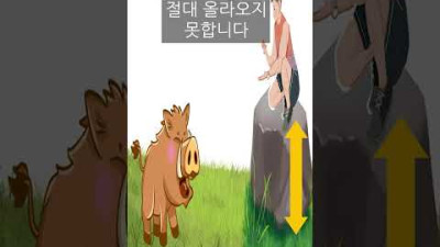 멧돼지가 달려들때 살아남는 방법