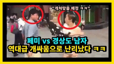 개같이 예절교육 되는 여자들