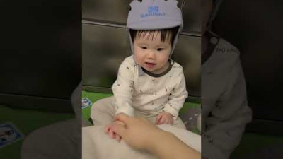 겁도없이 진돗개를 때리던 아기의 최후