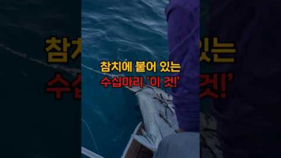 참치를 잡았는데 경악했던 이유
