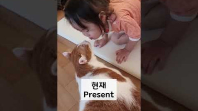 힐링💕 아기와 고양이의 2년간의 우정 #shorts