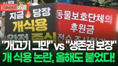 [동물성 개사료 금지] ＂개고기 그만＂ vs ＂생존권 보장＂ 개 식용 논란, 올해도 붙었다! | 이슈픽 zip