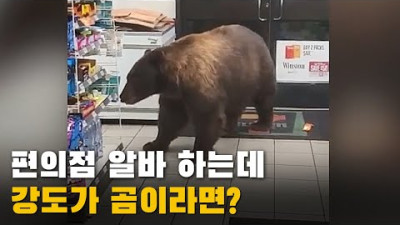 편의점에 곰이 들어오자 알바생의 반응