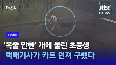또 개물림 사고...견주는 입건, 개는 안락사 절차 진행｜D:이슈
