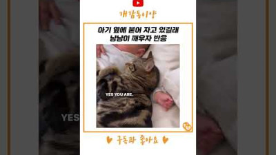 아기 옆에 붙어 자고 있길래 고양이 깨우자 반응 #shorts  @doggamdong