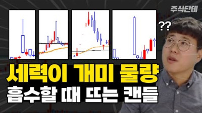 이게 다 세력캔들입니다.. 이 강의 보시고 절대 물량 털리지 마세요! #주식단테 100만불짜리 매집봉 강의