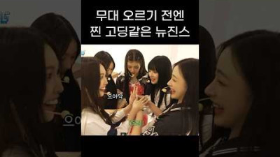 뉴진스가 무해하다고 하는 이유