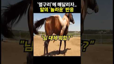 옆구리에 매달리자.. 녀석의 놀라운 반응