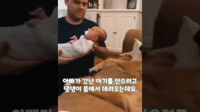 아기와 강아지는 사랑입니다 #shorts