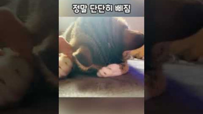 정말 단단히 삐진 냥이 - 어떻게 풀어주죠?