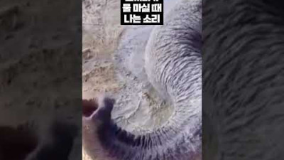 익숙한 소리인 것 같은데..