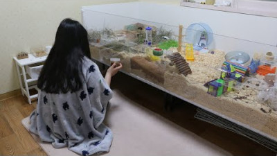 햄스터 케이지 더!더! 크게 만들기(케이지 만들기 A부터 Z까지) [우리집 쥐새끼]